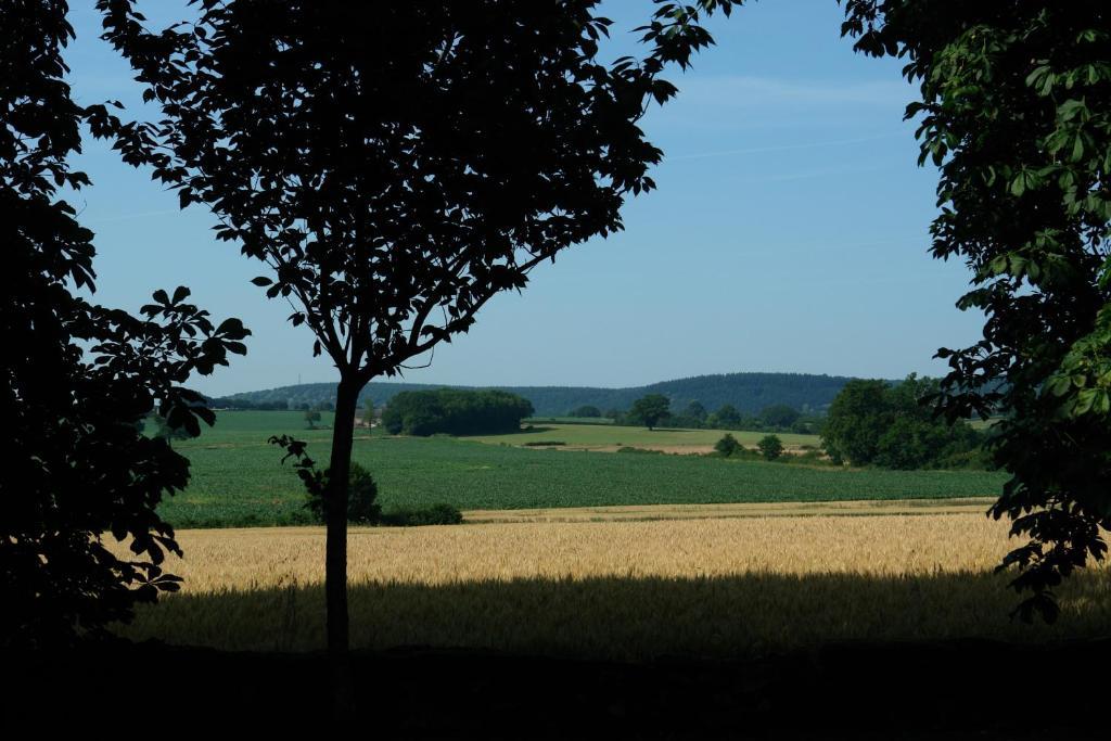 Chambres D'Hotes - Domaine Des Perrieres Crux-la-Ville Exteriör bild